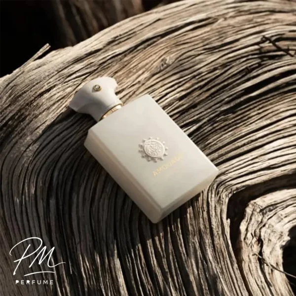عطر آمواج دسیژن مردانه
