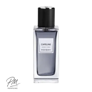 عطر ادکلن ایو سن لورن کیپ لاین