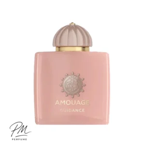 آمواج گایدنس